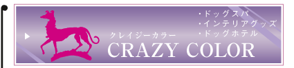 CRAZY COLOR クレイジーカラー